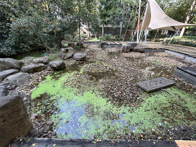 The dry and messy pond in Danqing Garden, Heyedi Street, Shushan District, Hefei City. Photo courtesy of respondents